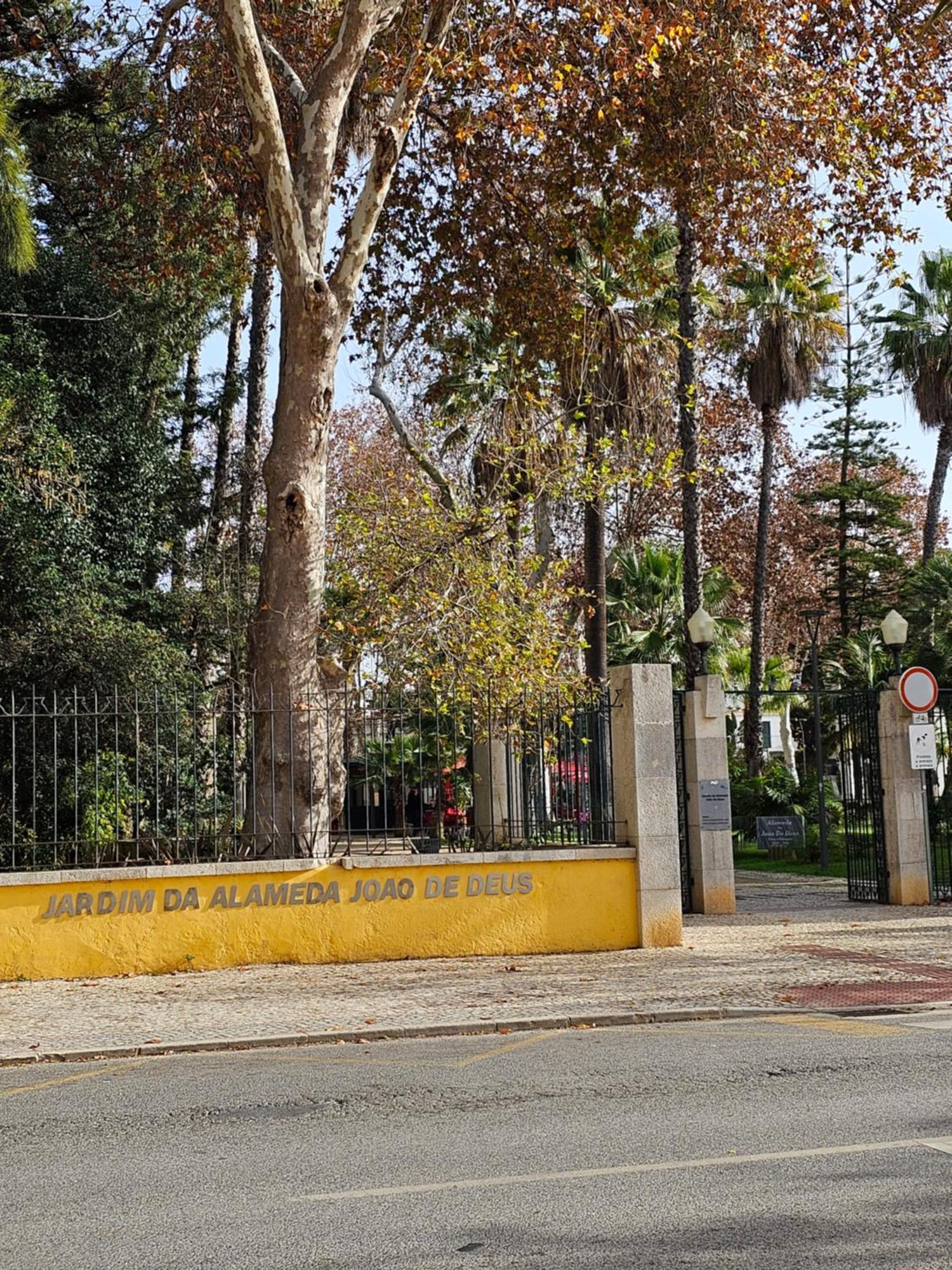 Apartamento Casa Jasmim *